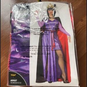 Adult Disney evil queen costume.
